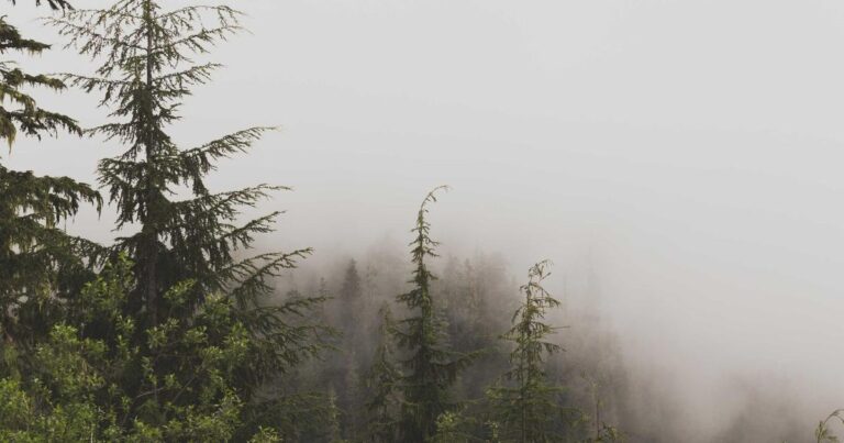 Hostinger Review 2026: Is It Actually Worth It? (Honest Take)